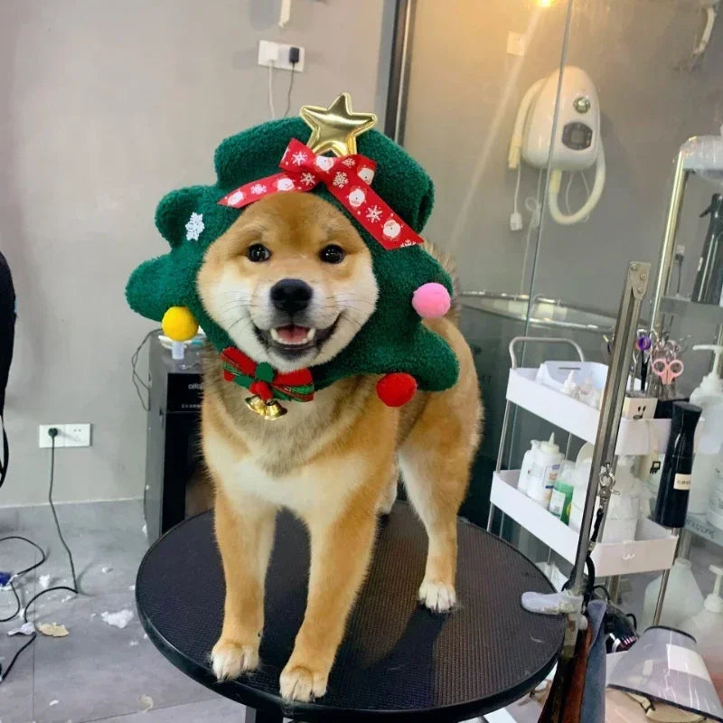 Pet Dog Cat Hat- Christmas Hat Decoration, Christmas Tree Decoration, Headgear Photo Props