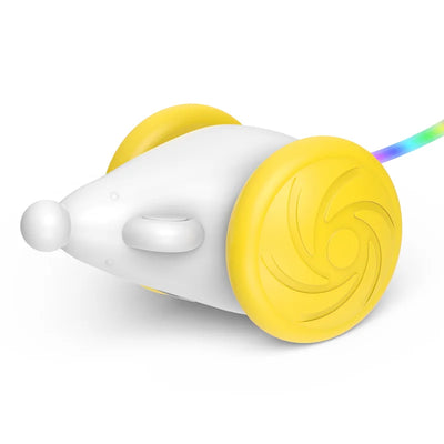Automatic Interactive Cat Toy