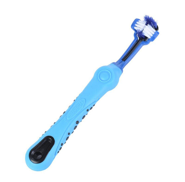 pet toothbrush maintain dental health for your beloved companion7