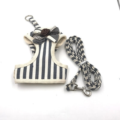 Padded Harness and Leash Set