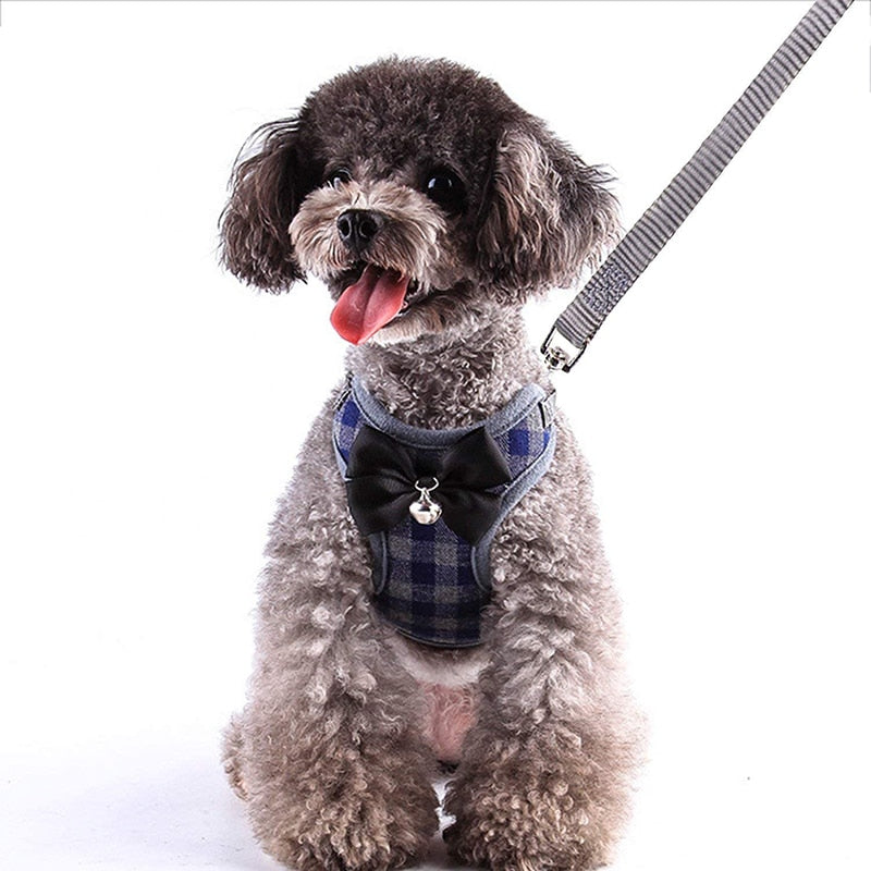 dog and cat harness leash set14