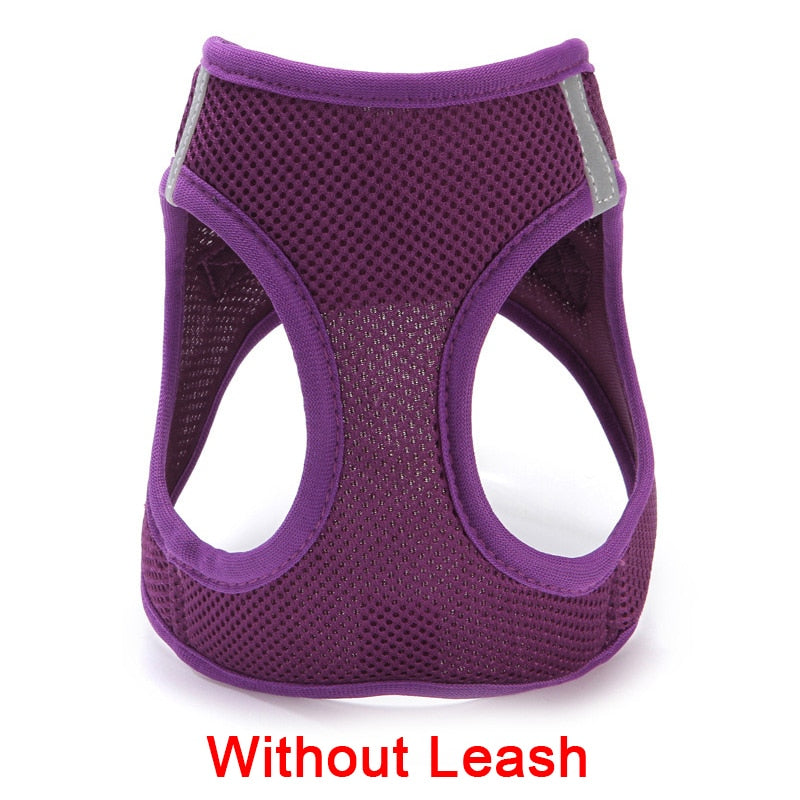 Pet Harness: Adjustable Dog & Cat Harness with Leash | Breathable Mesh | Soft Fabric