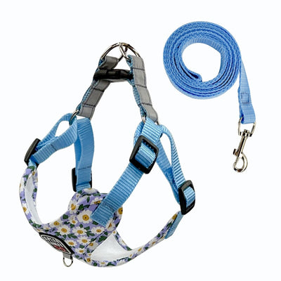 fashion printed nylon dog harness