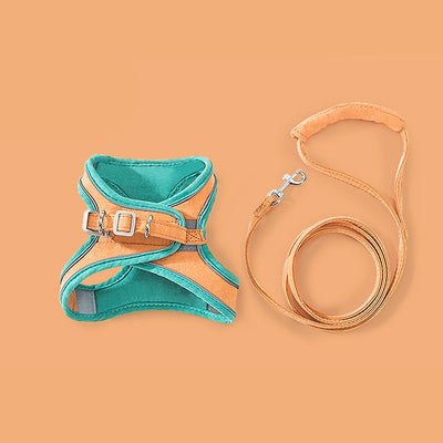 Pet Harness + Leash Set Training Walking Leads for Small Cats