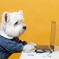 Dog Tech & Smart Home