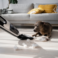 Pet Parents Clean Home Solutions