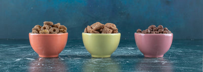 Dog Bowls & Feeders