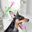 combo deal, pet toothbrush and precision nail trimmer three sided toothbrush sharp dog and cat nail trimmers4