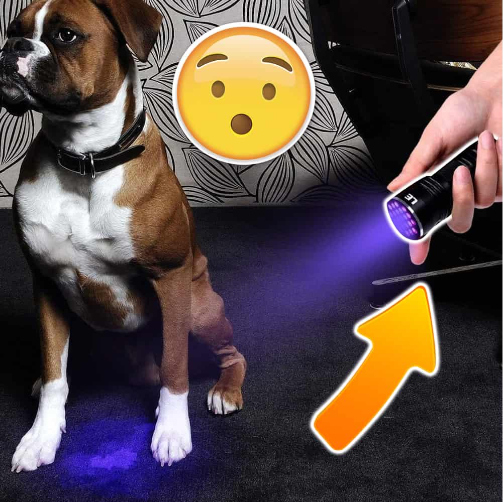 ombo deal, 51 led uv blacklight pet urine detector and high-quality puppy pad 100 pcs of regular size puppy pads7