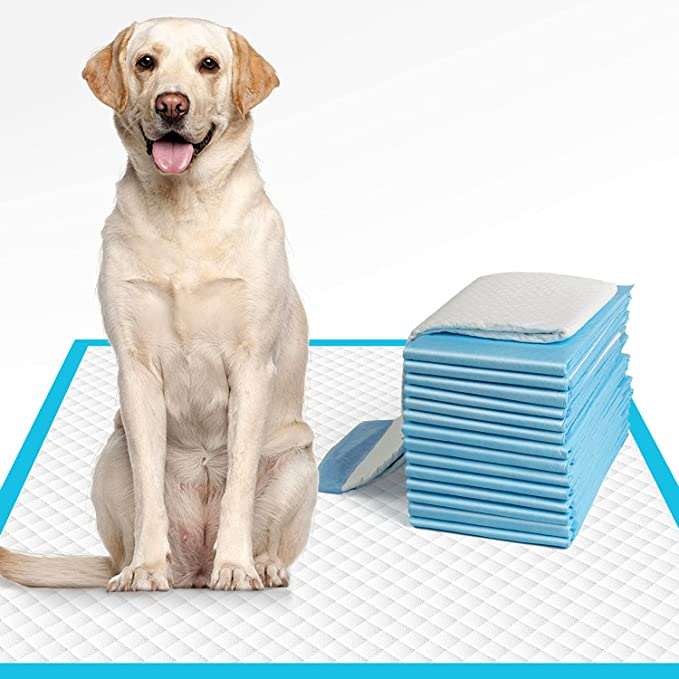 combo deal, high-quality puppy pad and eco-friendly dogs waste bags 100pcs of regular size puppy pads4