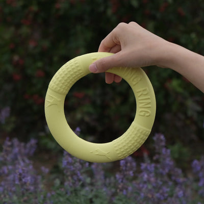 The Ultimate Dog Ring Toy
