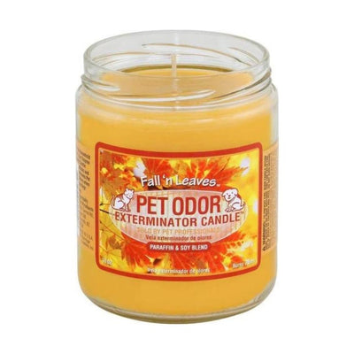 fall'n leaves pet odor exterminator candle