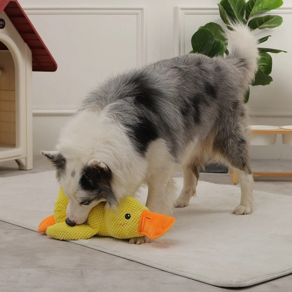 dog sleeping interactive toy duck chew sounding toy2