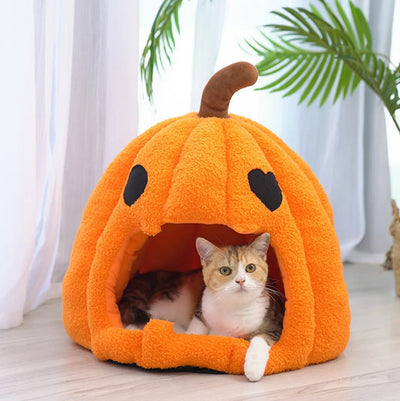 halloween-inspired pumpkin, batman house for cats and dogs