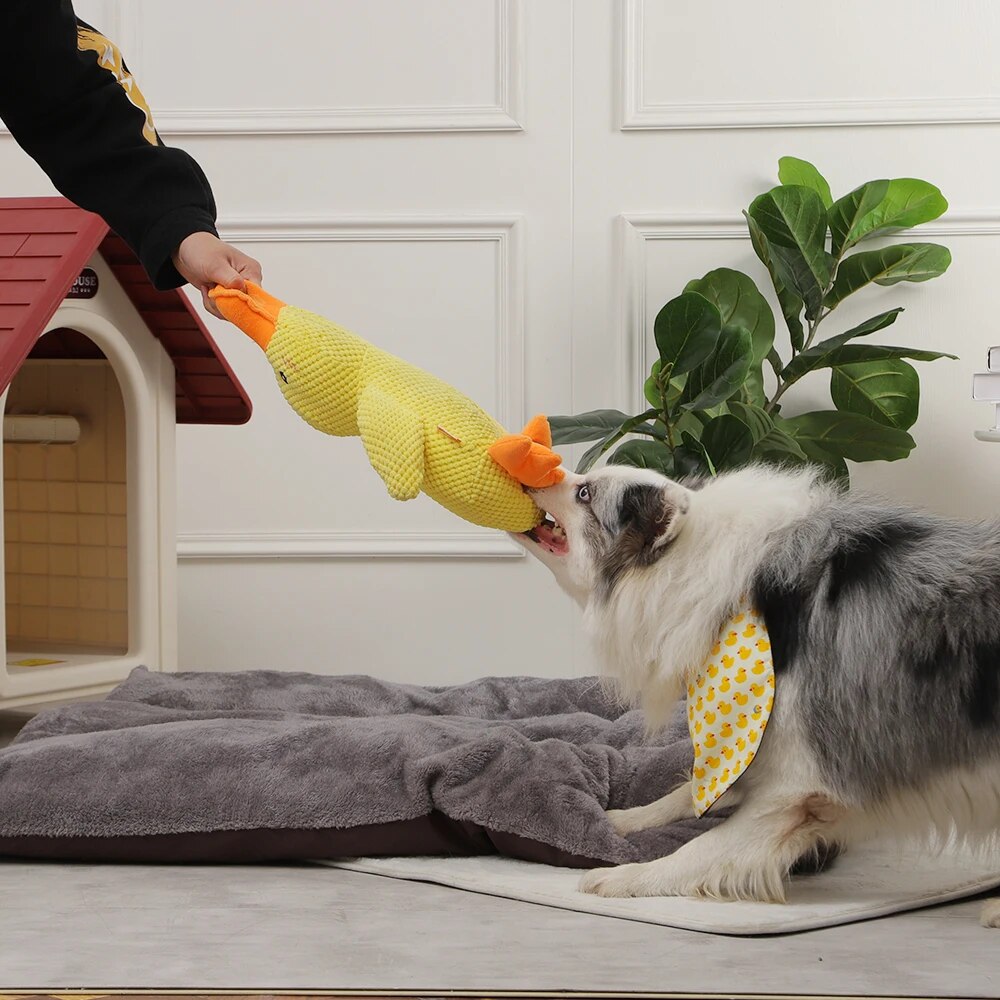 dog sleeping interactive toy duck chew sounding toy3