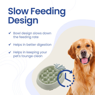 Slow Feeding Pet Food Bowl with Non-Slip Rubber Grip