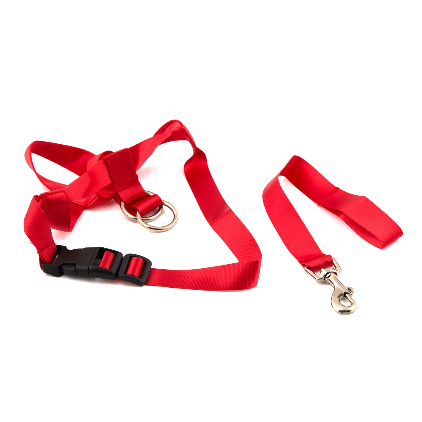 Best Dog Headcollar for Gentle and Effective Dog Training