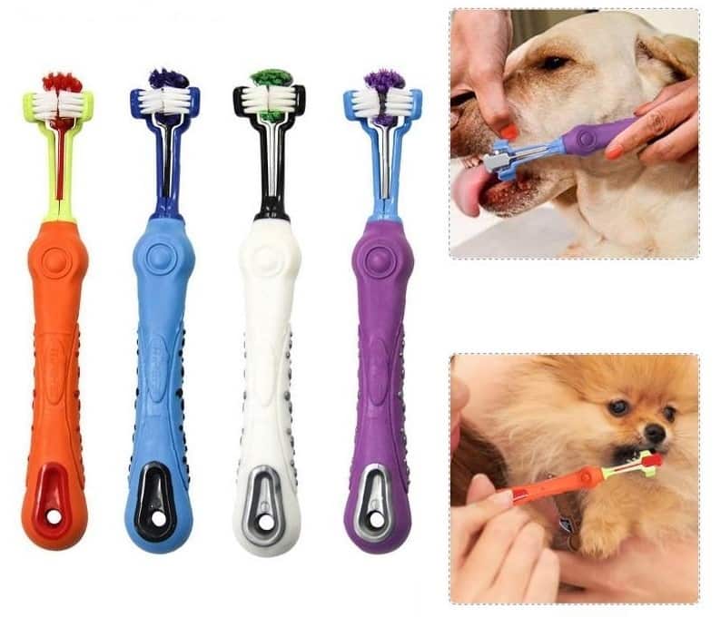 pet toothbrush maintain dental health for your beloved companion