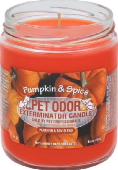 Pumpkin & Spice Pet Odor Exterminator Candle