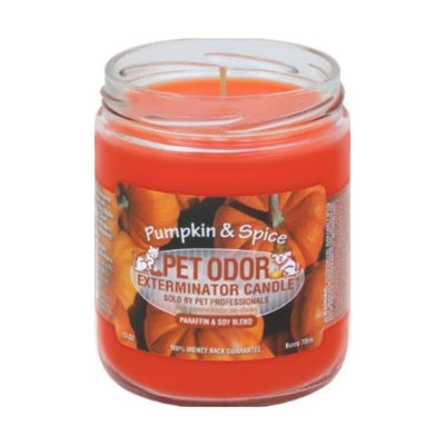 Pumpkin & Spice Pet Odor Exterminator Candle