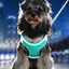dog cat harness vest chest rope set reflective breathable adjustable pet harness for small medium dogs outdoor walking2