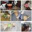 Dog Harness Vest For Small Medium Large Dogs with Bag
