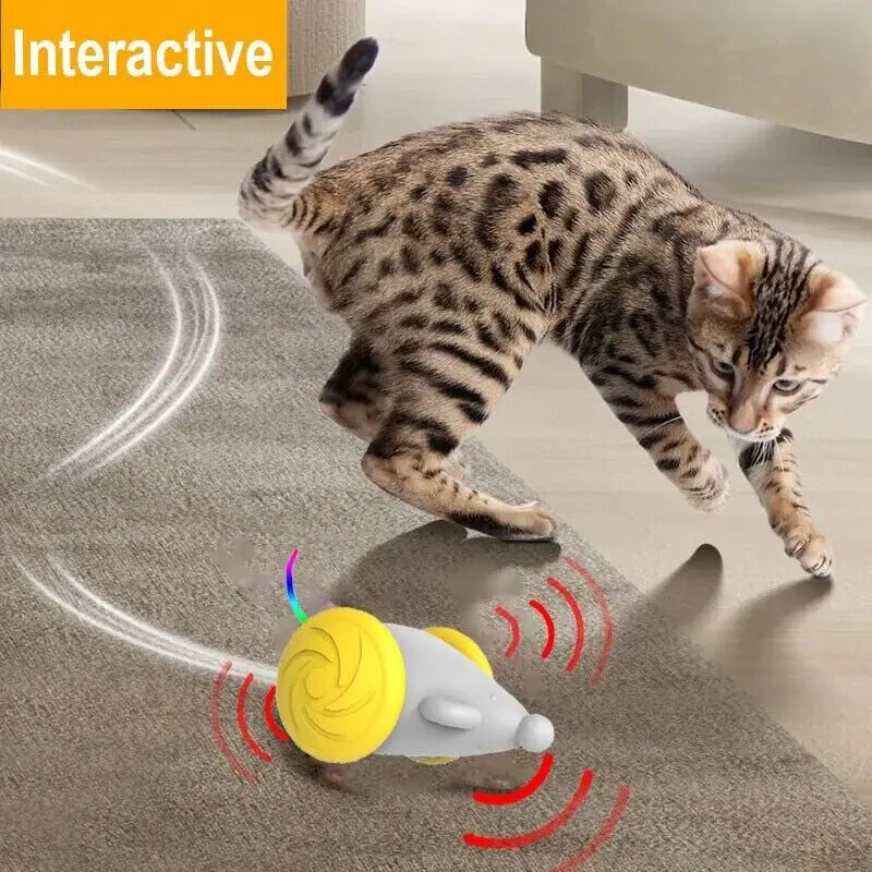 Automatic Interactive Cat Toy