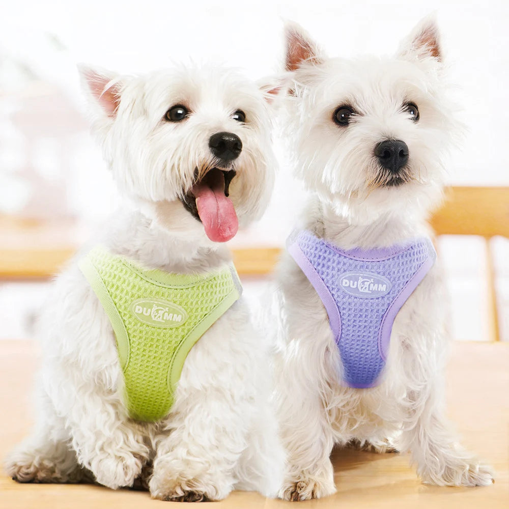 luxury dog cat harness vest chest rope set candy color breathable adjustable pet harness for small dogs outdoor walking