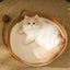 japanese pet cat bed round hand woven rattan cat beds summer cooling kitten basket cotton rope cat scratching baskets