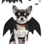 halloween bat wings funny cat dog cosplay costume with pumpkin bells