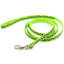Lovely Dog Leash and Collar Set