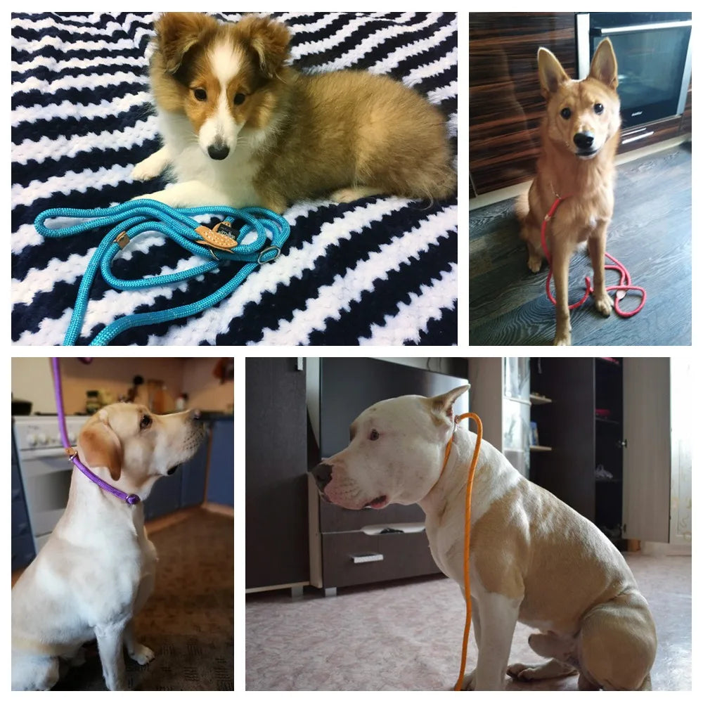 Nylon Reflective Puppy Dog Leash Rope