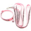 Lovely Dog Leash and Collar Set