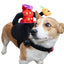 chucky inspired halloween pet costume pumpkin ride design for all sizes of pets4