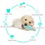 dog molar toothbrush toys chew cleaning teeth safe puppy dental care soft pet cleaning toy supplies5