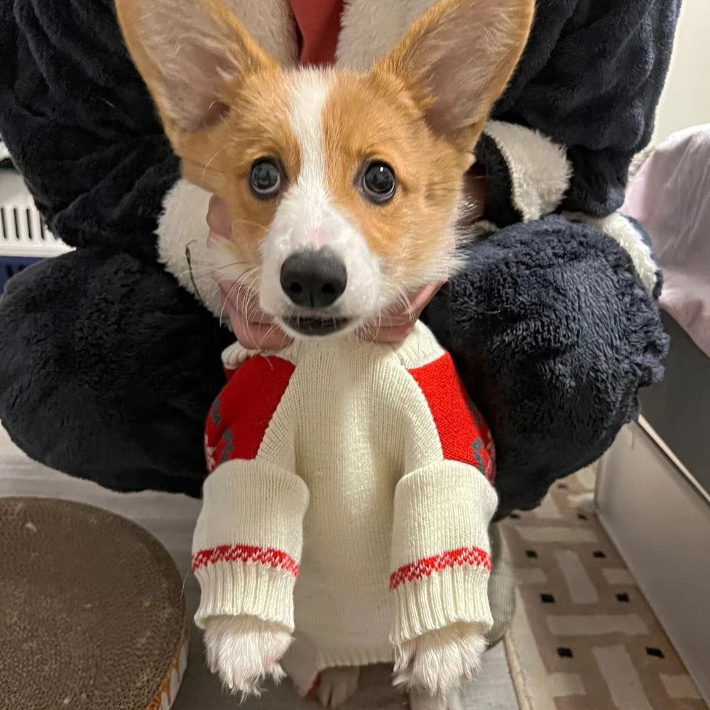 44315716649178|44315716714714|44315716747482|44315716813018|44315716845786