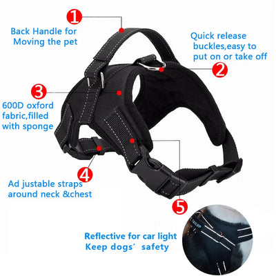 glowing led large dog harness1