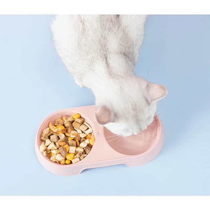 macaron pet double bowl plastic kitten dog food drinking tray feeder cat feeding2