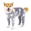 flannel dog pajamas jumpsuit for medium large dogs bone moon pattern warm jumpsuits coat