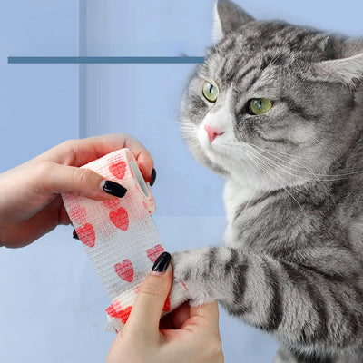 Pet Dog Cat Medical Breathable Elastic Bandage Non-woven Pet Self Adherent Wound Outdoor Retractable Sports Tape