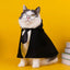 Pet Cosplay Cloak College Spring and Autumn Shawl Halloween Costume