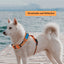 Pet Reflective Nylon Adjustable Dog Harness