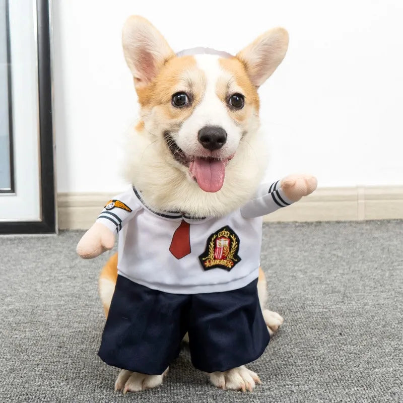 funny halloween party costume cosplay clothing cat dog pet set3