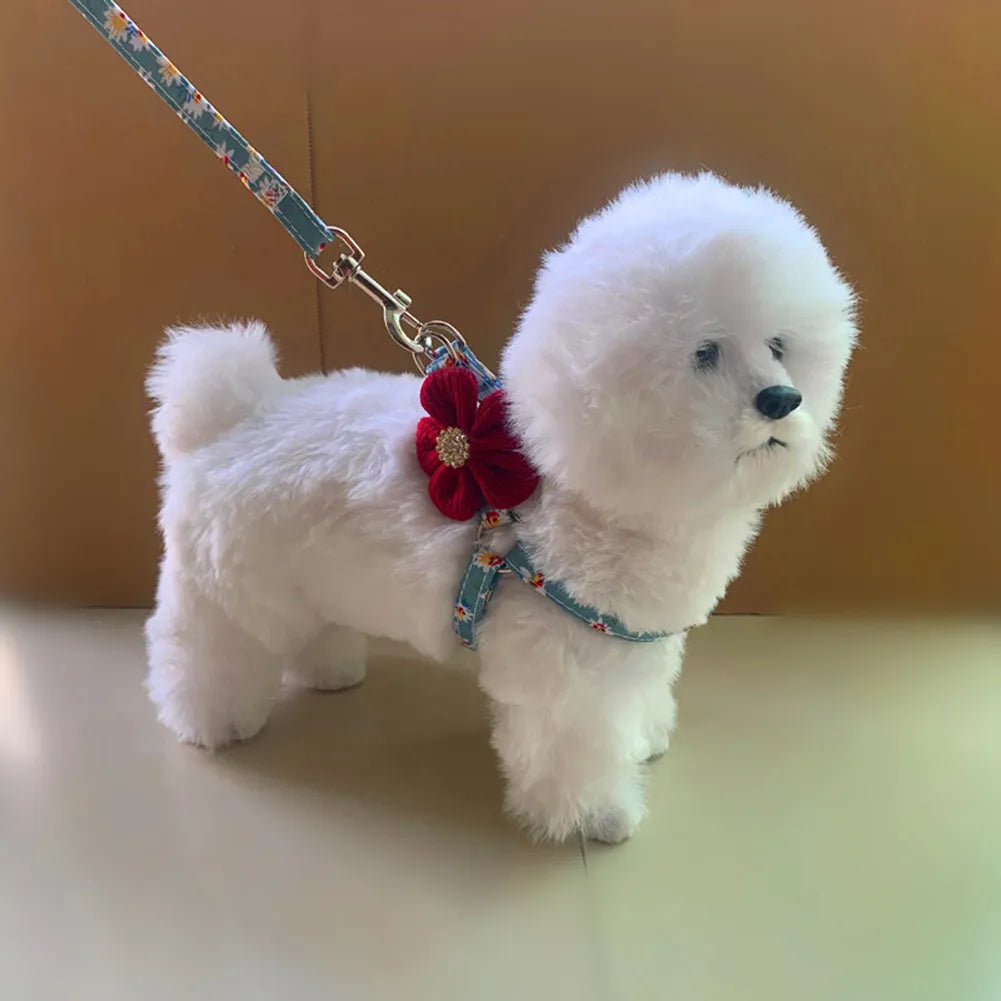 44273491345626|44273491542234