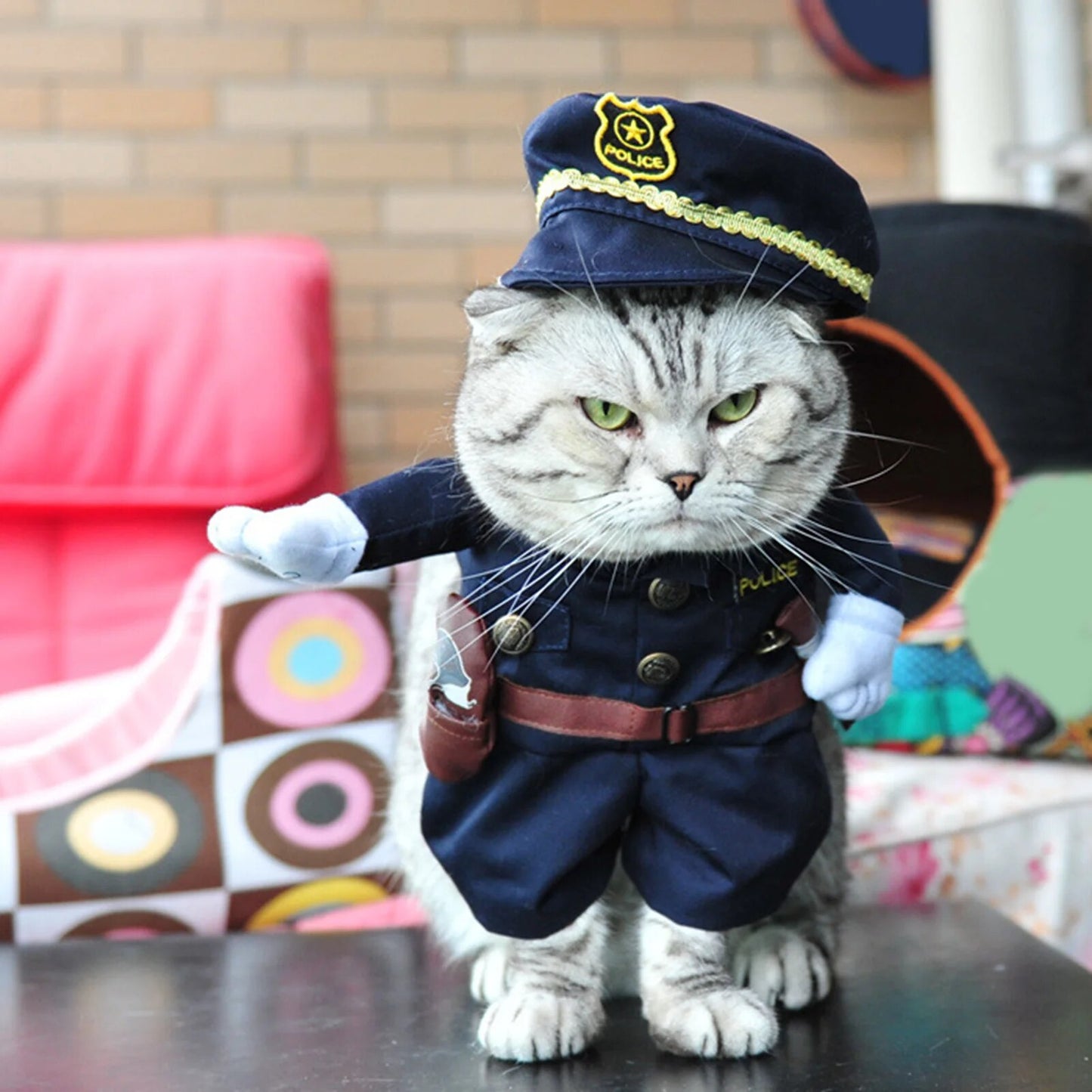 44208811180250|44208811213018|44208811245786|44208811278554