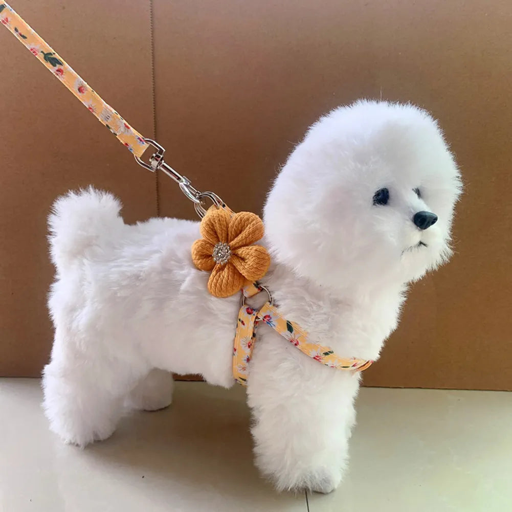 44273491378394|44273491575002