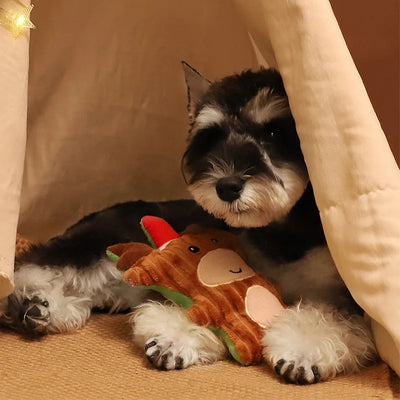Squeeze Sound Plush Molar Bite Toy