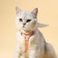 Sweet Angel Wing Cat Harness 120cm Leash Outdoor Pet Harness and Leash Set Water Proof Vest Chest Strap Kitten Accessories
