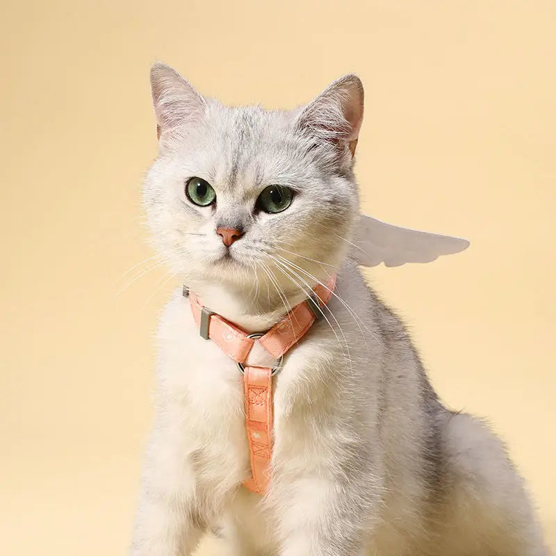Sweet Angel Wing Cat Harness 120cm Leash Outdoor Pet Harness and Leash Set Water Proof Vest Chest Strap Kitten Accessories