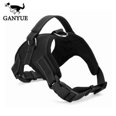 glowing led large dog harness